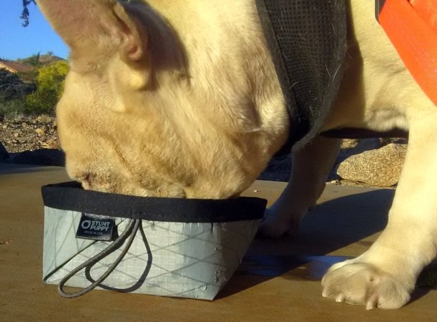 Wally took the Nano Bowl instantly. I think he knows an excellent product when he sees one.